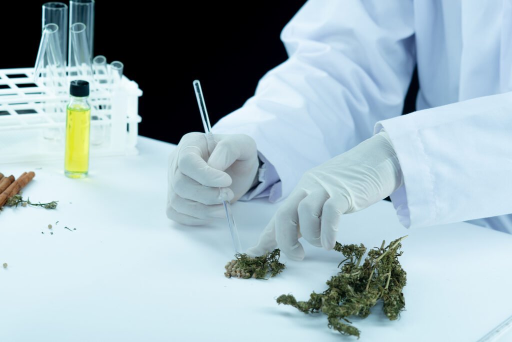 pesquisa científica sobre os benefícios medicinais da cannabis no Brasil