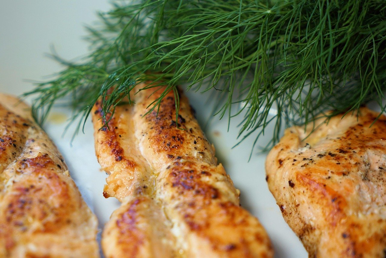 salmon-5878189_1280