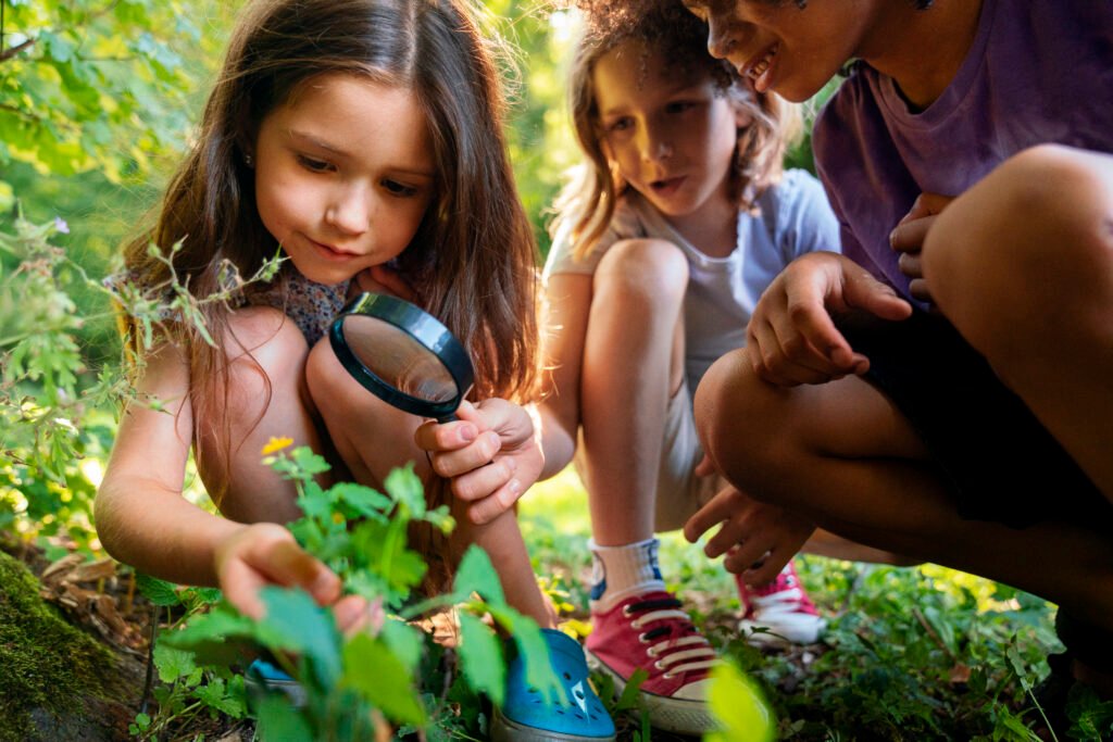 educação ambiental para crianças e adolescentes