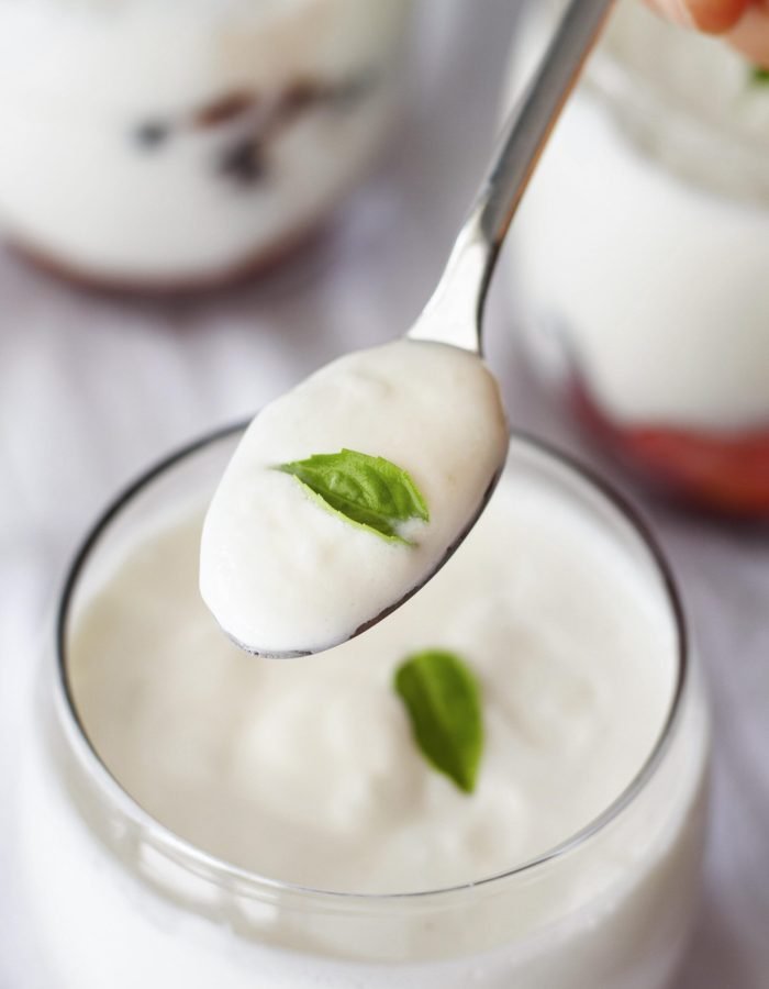 close-up-de-mao-segurando-uma-colher-com-iogurte